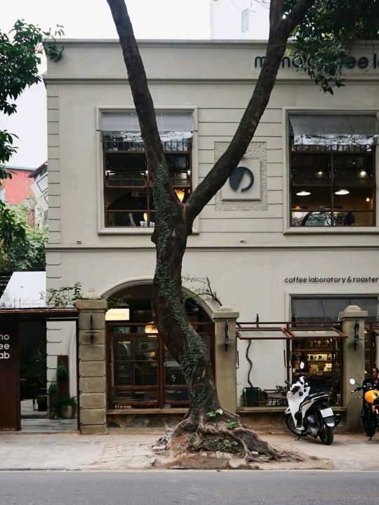 Mono Coffee