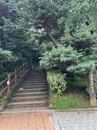 보라매공원 구석구석 다녀보았어요
