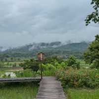 ที่พักริมทุ่งนาสุดมินิมอล วิวภูเขา จ.น่าน