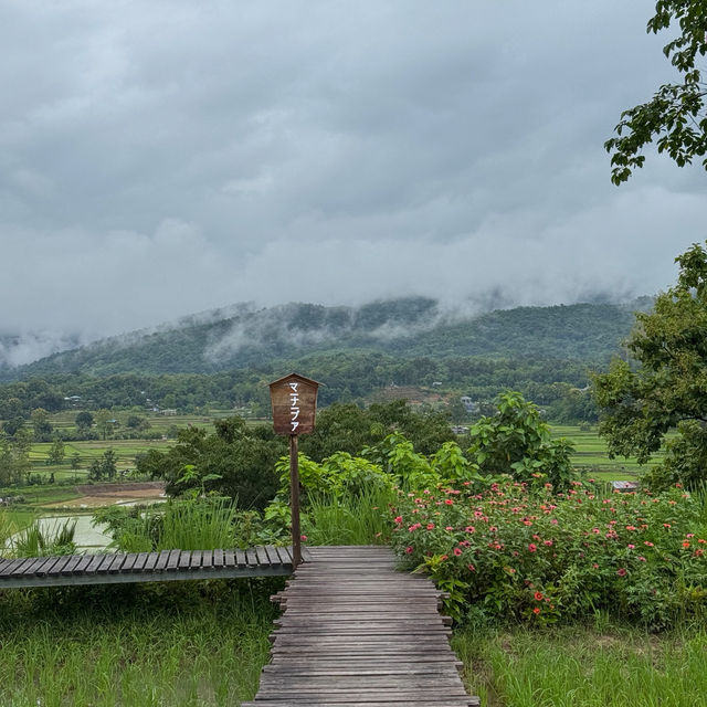 ที่พักริมทุ่งนาสุดมินิมอล วิวภูเขา จ.น่าน