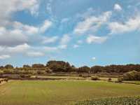A Rewarding Ascent to Panoramic Coastal Views