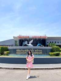พิพิธภัณฑ์สัตว์น้ำ หว้ากอ จังหวัดประจวบคีรีขันธ์