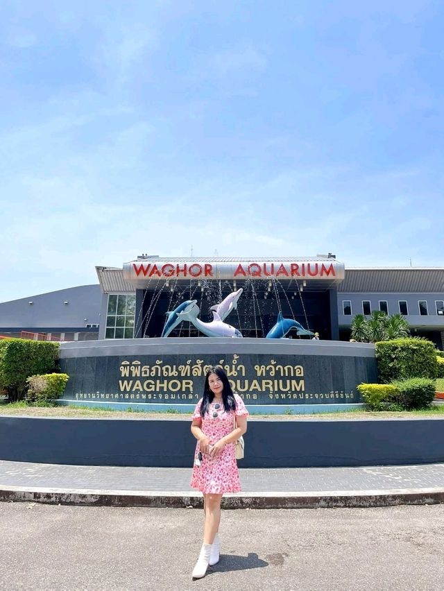 พิพิธภัณฑ์สัตว์น้ำ หว้ากอ จังหวัดประจวบคีรีขันธ์