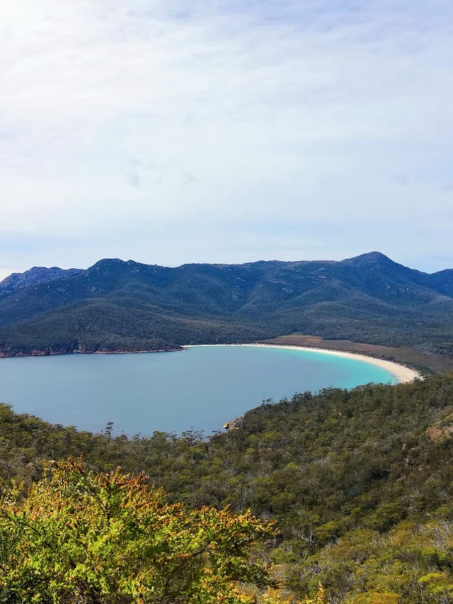 6D5N Family Adventure in Tasmania – Breathtaking Views, Cool Weather & Hidden Gems! 🐨 