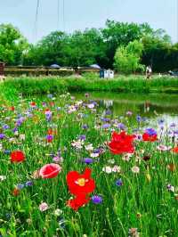 XIXI WETLAND PARK · CHINA’S ANSWER TO VENICE’S WILD COUSIN