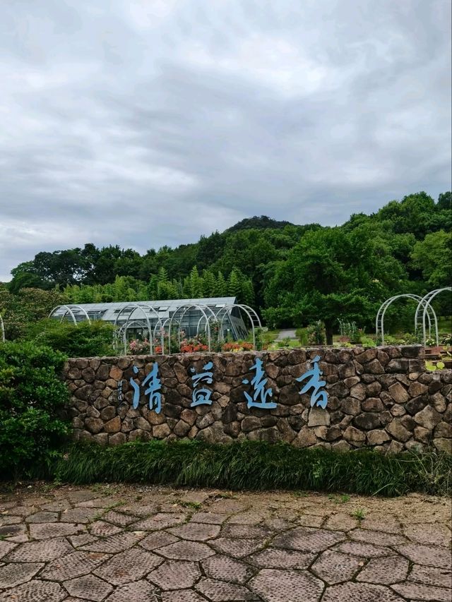 Hangzhou Botanical Garden – Where Science Meets Song Dynasty Poetry