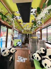 “Chengdu’s Climbing Panda: I Am Here”