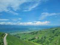 Green grasslands at Nalati Grassland
