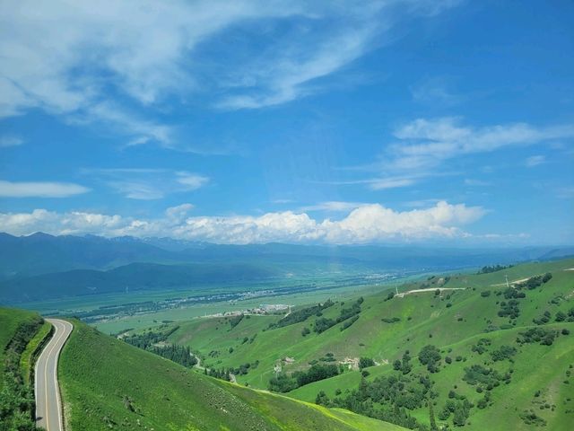 Green grasslands at Nalati Grassland
