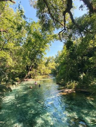 🚣 Orlando’s Hidden Gem: Floating Fun at Kelly Park