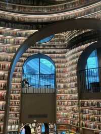 Reading in Wonderland: Why Zhongshuge Is So Addictive