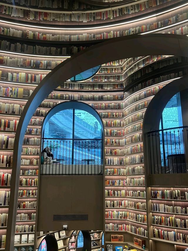 Reading in Wonderland: Why Zhongshuge Is So Addictive