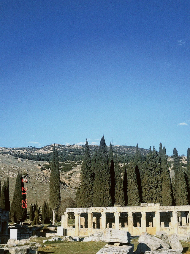 Soaking in Ancient Beauty 