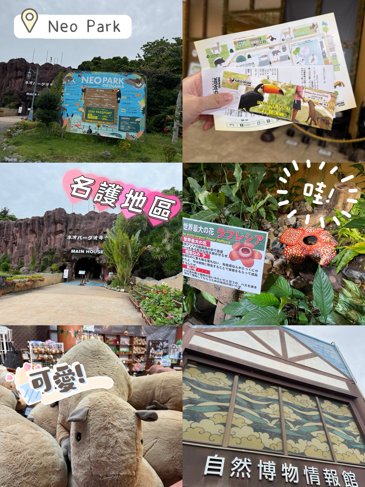 🦕ネオパーク沖縄自然動物公園 - 親子でゆっくり過ごすのにおすすめ🐾