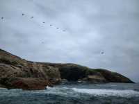 Coastal Breezes and Island Wonders of Paracas