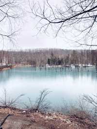 無論世界多麼冰冷， 只要心裡有光， 就能溫暖一切。《宮澤賢治》