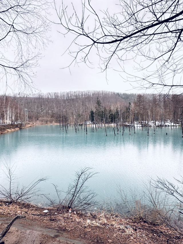 無論世界多麼冰冷， 只要心裡有光， 就能溫暖一切。《宮澤賢治》