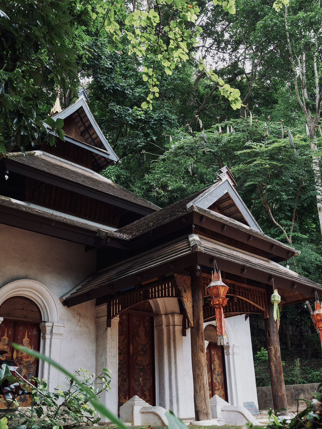 วัดผาลาด – สถานที่แห่งความสงบกลางป่าดอยสุเทพ 🕊️ วัดผาลาด – สถานที่แห่งความสงบกลางป่าดอยสุเทพ 🕊️