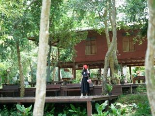 Im Petra Cafe: A Charming Cafe Amidst the Siam Tulip Fields