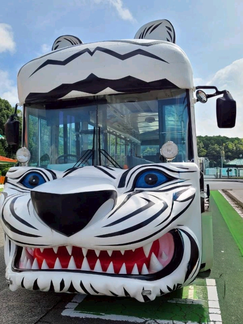 大迫力の動物体験！秋吉台サファリランド🚙✨ | Trip.com 美祢