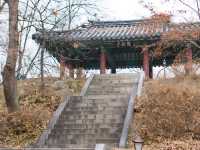 [공주] 백제역사지구, 공산성 산책하기 🏯🌿