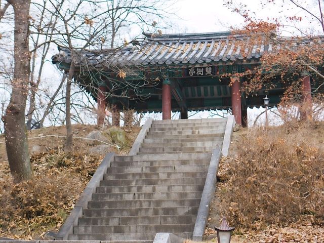 [공주] 백제역사지구, 공산성 산책하기 🏯🌿