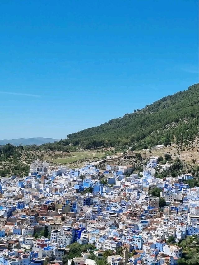 Everything in Blue 