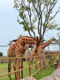 A Day at Xiangyang Fantasy Park🌟