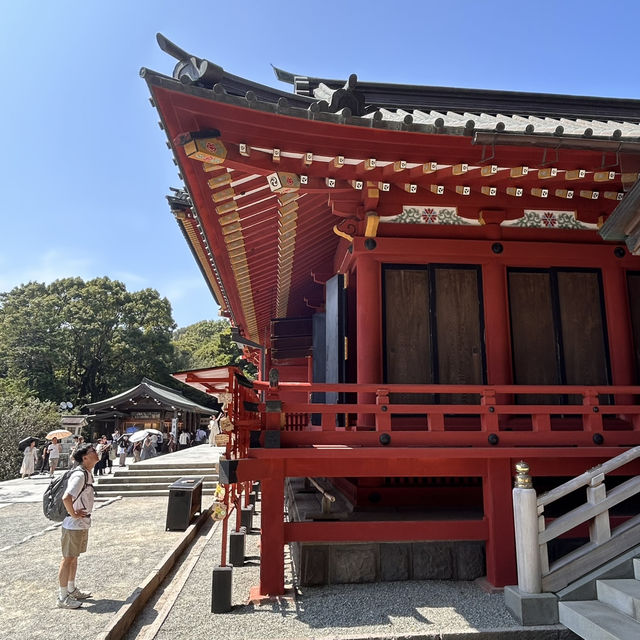 The Soul of Kamakura: A Solo Visit to Tsurugaoka Hachimangu Shrine ⛩️