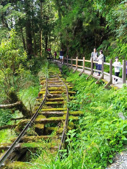 漫步雲端與湖畔:見晴古道、望龍埤周邊景點全介紹 漫步雲端與湖畔:見晴古道、望龍埤周邊景點全介紹