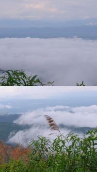 ดอยอินทนนท์ ด้วยเสน่ห์ของธรรมชาติ วัฒนธรรม