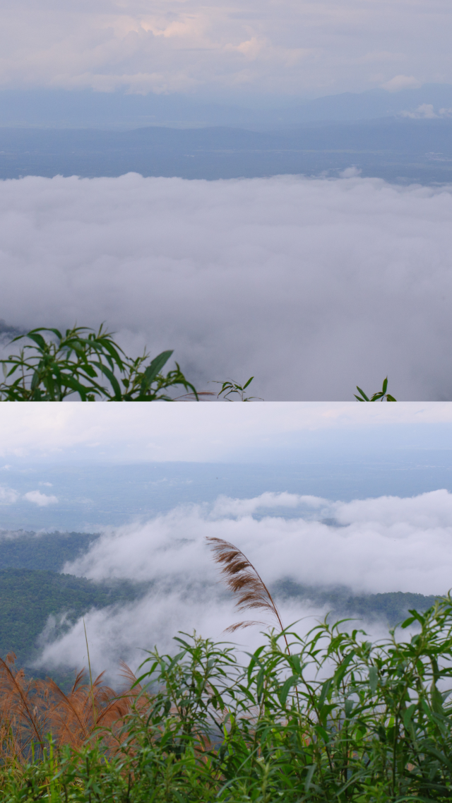 ดอยอินทนนท์ ด้วยเสน่ห์ของธรรมชาติ วัฒนธรรม ดอยอินทนนท์ ด้วยเสน่ห์ของธรรมชาติ วัฒนธรรม