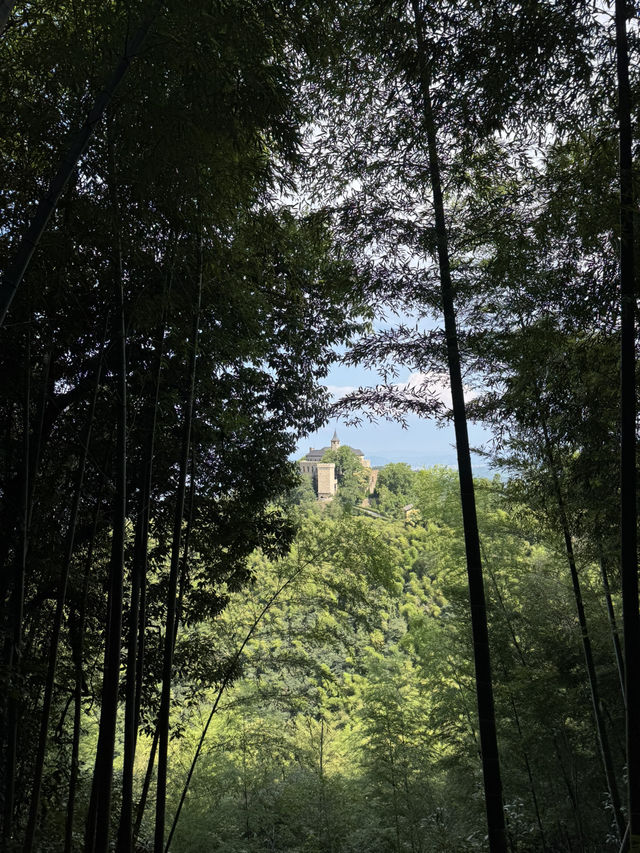 Trekking in beautiful Moganshan mountain 莫干山