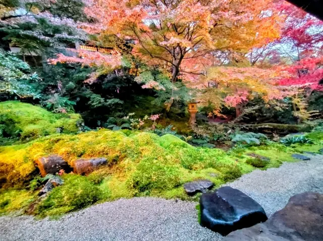 瑠璃光院與貴船神社，在三尾地區享受絕美紅葉的一泊二日之旅