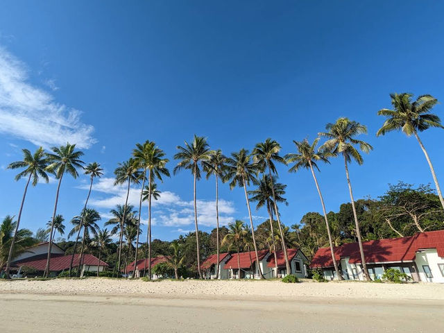 Seaside Sanctuary of Serenity