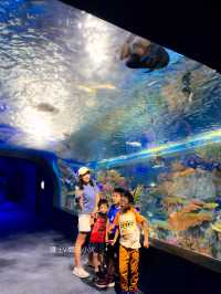 《沖繩親子景點| DMM水族館》