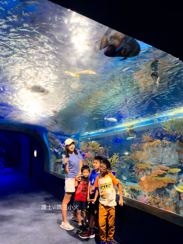 《沖繩親子景點| DMM水族館》