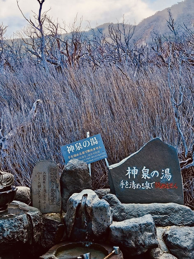 🌋「冒著煙霧的火山谷，探索地熱的神秘力量。」