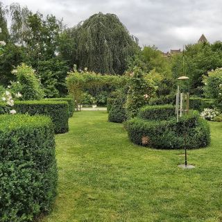 The Rose Garden of Provins – A Blooming Tribute to Medieval Heritage