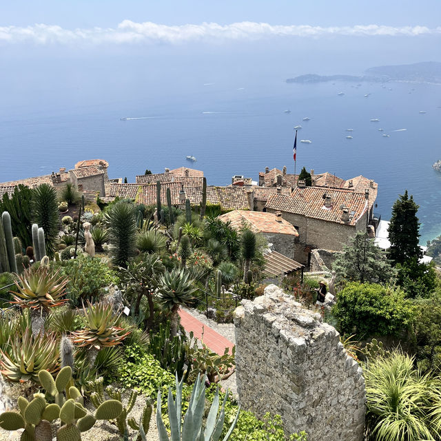 🇫🇷法國埃茲-Jardin Exotique d’Eze 🌵