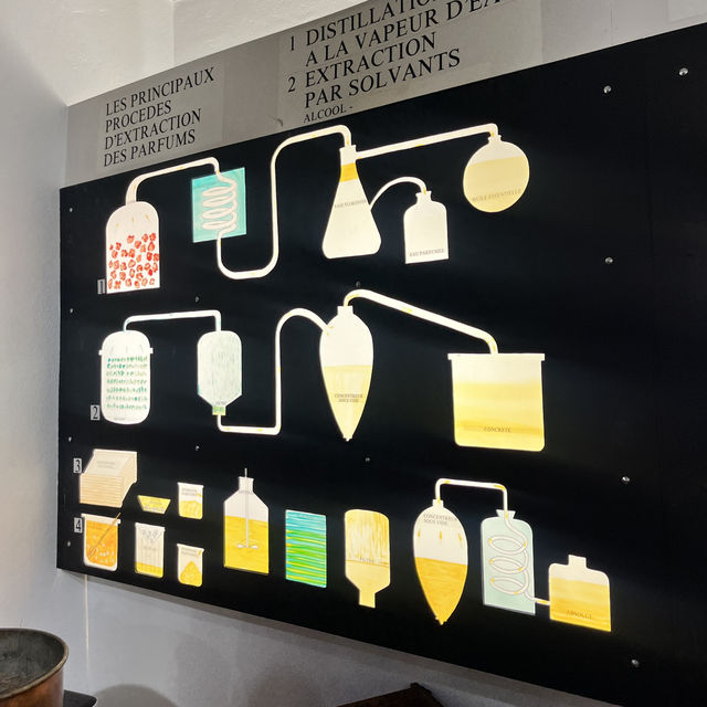 🇫🇷法國埃茲-Fragonard factory and cosmetic laboratory 🪻🌸
