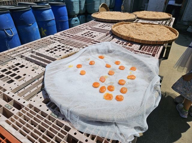 香港秘境漁村慢活一日遊