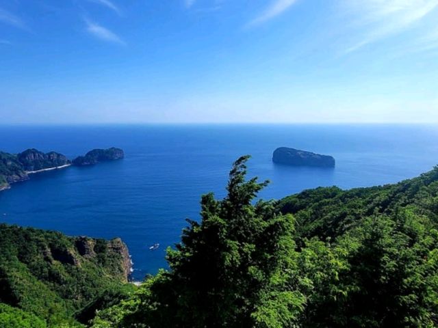 64. 울릉도 – 신비의 섬 64. 울릉도 – 신비의 섬