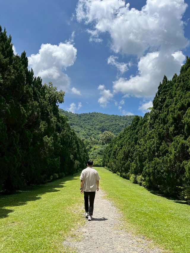 綠蔭之間——清邁 Cypress Lanes 的靜謐漫步