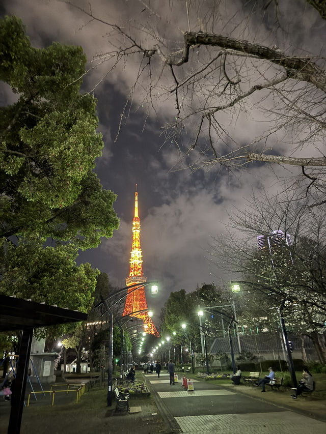 2025.03.28 櫻花季東京獨旅五天四夜行程 p6 第四天行程大公開(6.東京鐵塔) 2025.03.28 櫻花季東京獨旅五天四夜行程 p6 第四天行程大公開(6.東京鐵塔)