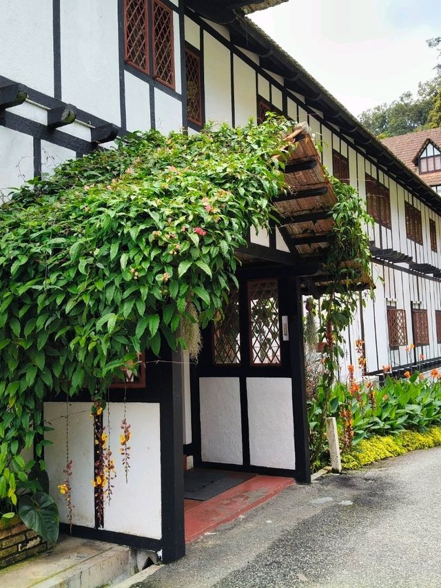 Discover Cameron Highland Lakehouse Scenery 🌿