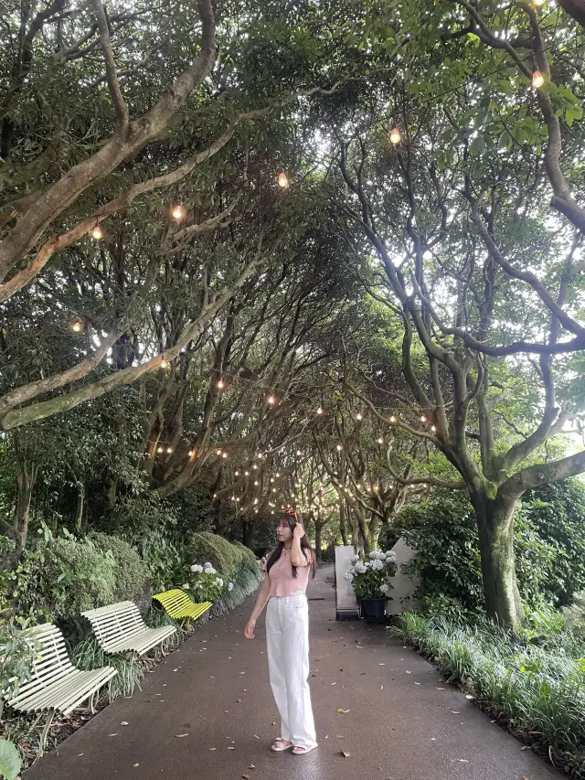 沿著花路漫步濟州,卡梅利亞山午後時光