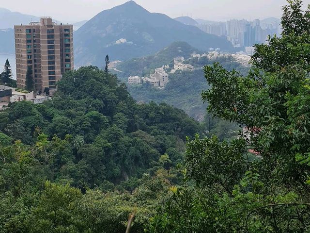 Wong Nai Chung Reservoir Park黃泥涌水塘公園