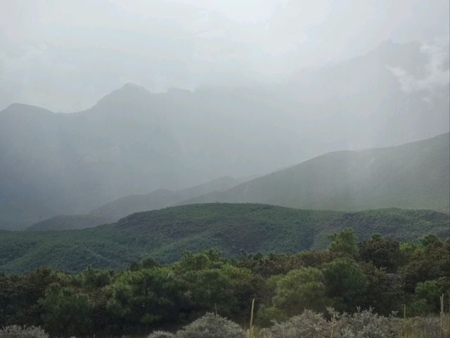 Yulong’s Must-See Live Show—Epic Vibes Even in the Rain! 🌧️🌄