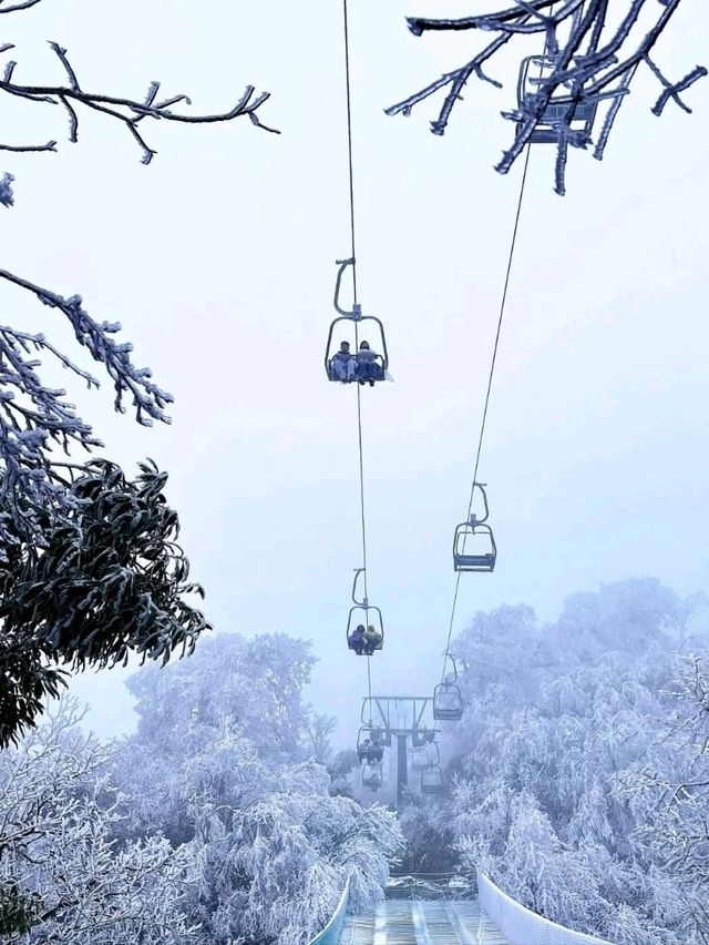 Popular Mountain